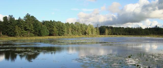 Wetlands in Peril: Potash Mine Press Release